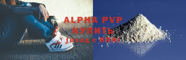 индика Волоколамск