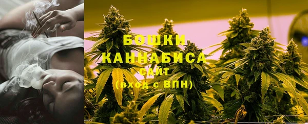 крисы Володарск