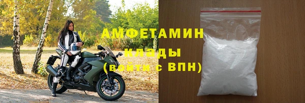 индика Волоколамск