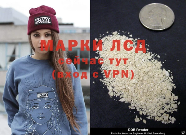 крисы Володарск