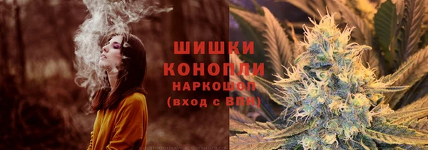индика Волоколамск