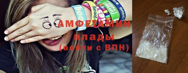 индика Волоколамск