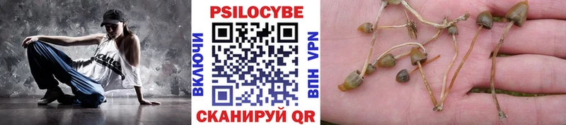 Галлюциногенные грибы Cubensis Можайск
