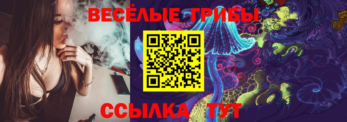 Галлюциногенные грибы Psilocybine cubensis Можайск