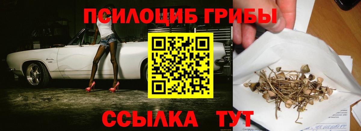 где продают наркотики  Галлюциногенные грибы ЛСД  Псилоцибиновые грибы мухоморы  Вход с VPN  Можайск 